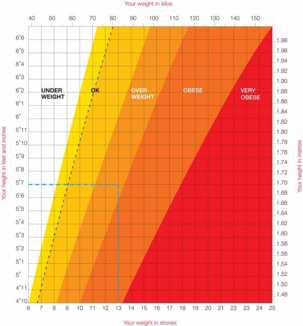 bmi-chart - Biokineticist Andries Lodder | Bio4Me